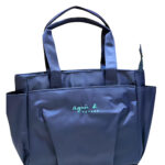 Agnis Voyage